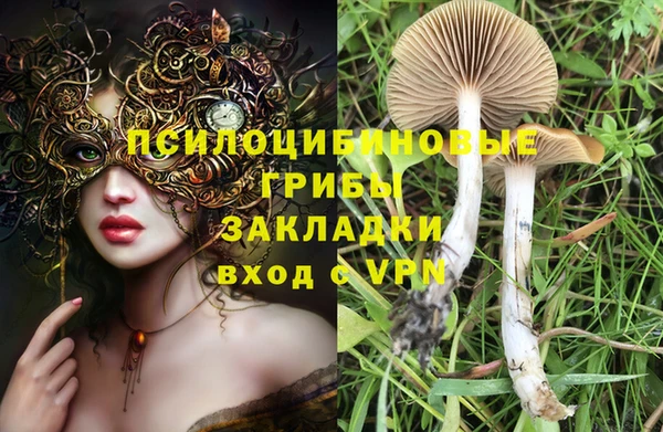 ешки Мегион