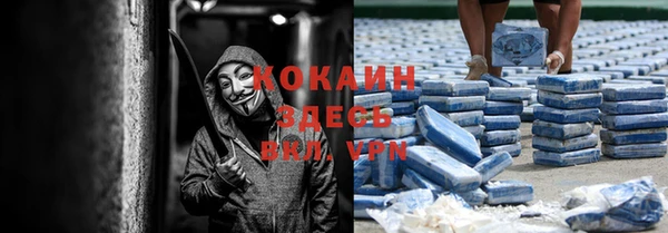 индика Михайловск