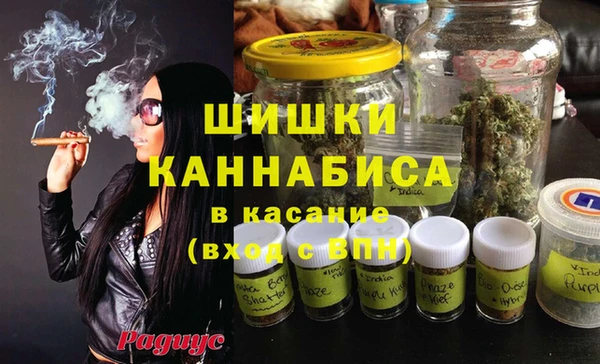индика Михайловск