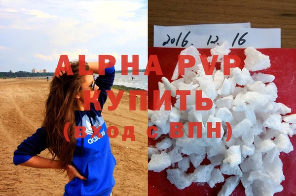 индика Михайловск