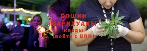 индика Михайловск