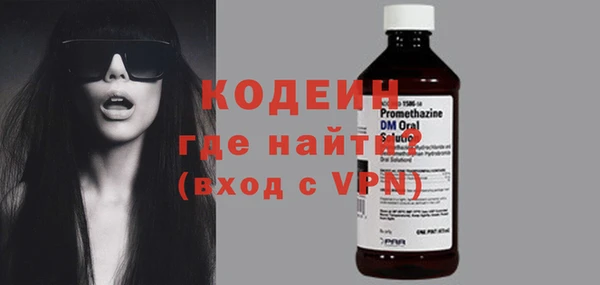индика Михайловск