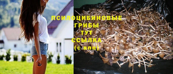 спайс Медвежьегорск