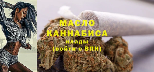 индика Михайловск
