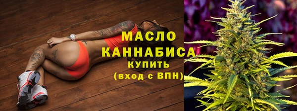 гидра Медногорск