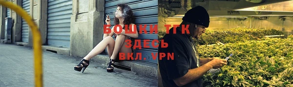 индика Михайловск