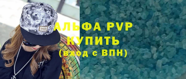 индика Михайловск